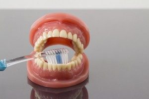 歯周病の罹患率には地域差があるの？？